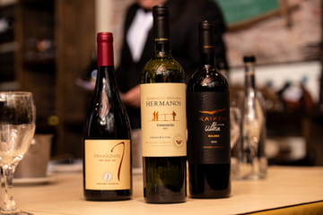 Wine Tasting and Tapas Pairing in Buenos Aires