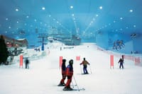 Ski Dubai tour with private transfers 4