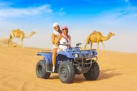 3 Hours ATV Quad &amp; Camel Riding With Transfer - Sharm El Sheikh