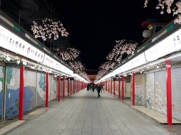 Asakusa Night Evening Walking Tour with English-Speaking Guide