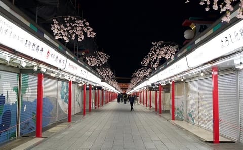 Asakusa Night Evening Walking Tour with English-Speaking Guide