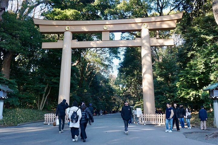 Harajuku Meiji Shrine 1 Hour Explanation Tour