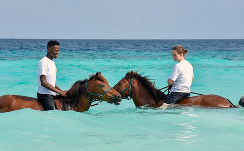 Zanzibar Horse Riding Tour: Nungwi Beach & Sunset Rides