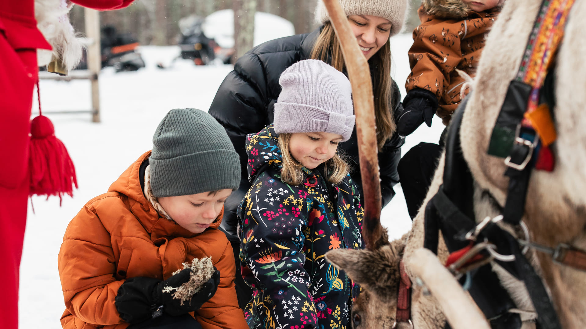 10β15 minute reindeer sleigh ride β Santa Claus Reindeer