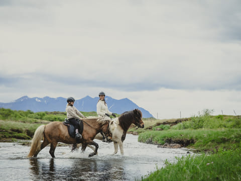 1,5h Trail Ride for All Levels, photo 2