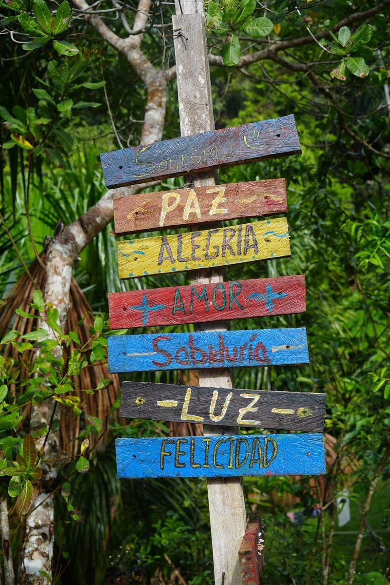 Puc-09 : Extended Ayahuasca Experience – 4 Days of Transformation