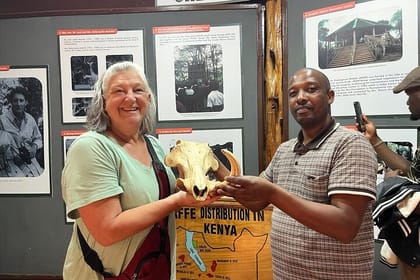 Nairobi Stopover & Layover Tour – Private, Fast & Flexible!