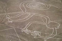 Private Bus Station transfer in Nazca 8