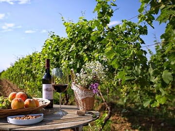 4 Full days in Georgia with private tour, free aiport