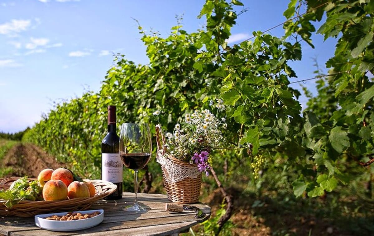 Private Full-Day Vintage Grape Harvest Festival with Lunch