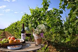Private Full-Day Vintage Grape Harvest Festival with Lunch