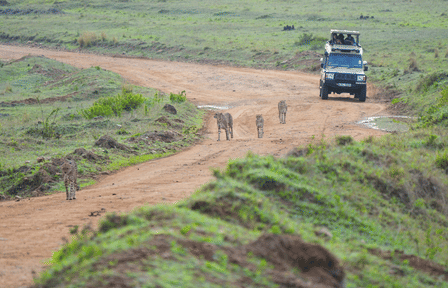4-Day Safari Adventure in Anantya Serengeti, Tanzania