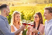 wine-tasting