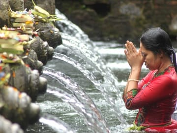 Private Full-Day Bali Tour: Temples and Rice Terraces