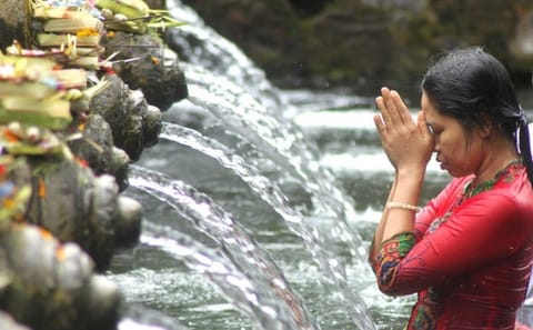 Private Full-Day Bali Tour: Temples and Rice Terraces