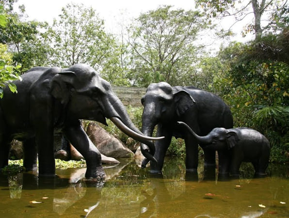 River Wonders and Night Safari with Roundtrip Transfers product photo