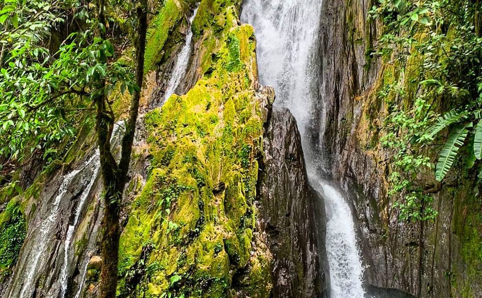 Adventure Tour to San Miguel Waterfall in Tingo María, Peru