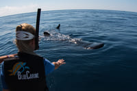 Whale Shark Snorkeling Tour from Cancun and Riviera Maya 7