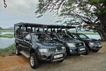 Day Excursion to Udawalawe from Colombo