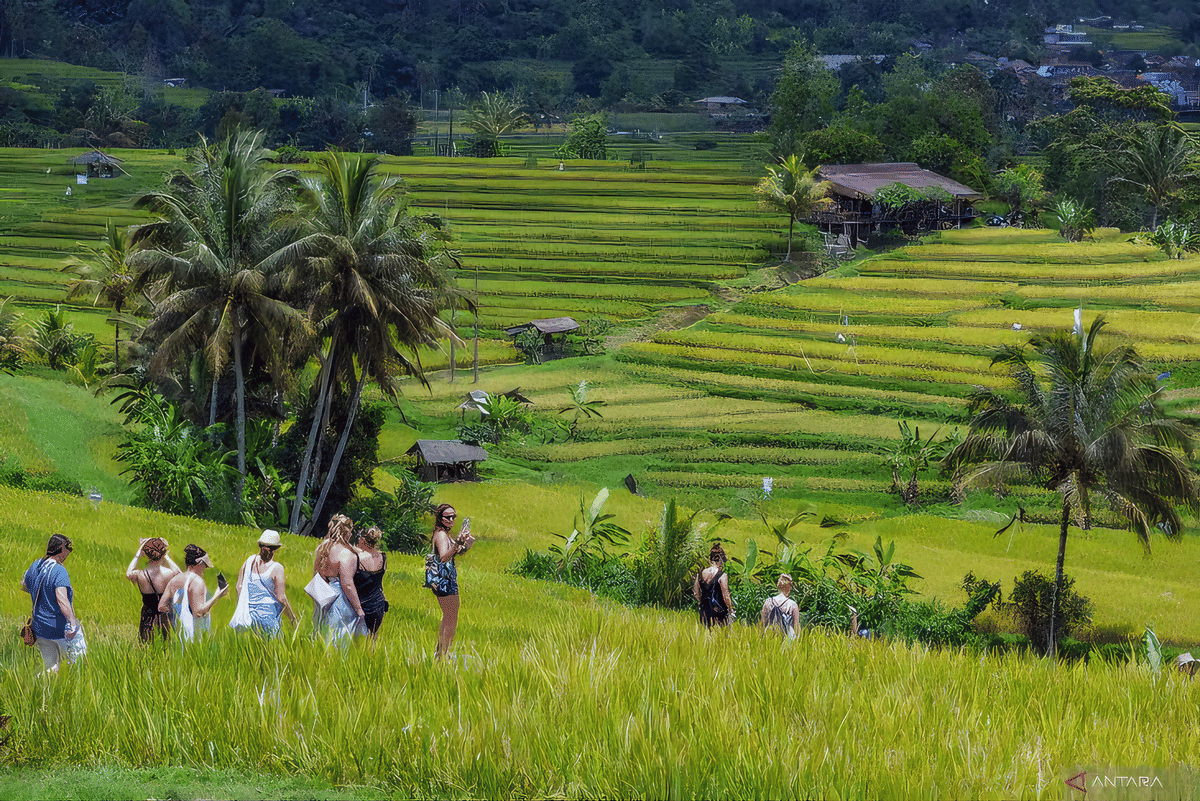 Fullday Tour : Discover Hidden Gem of East Bali
