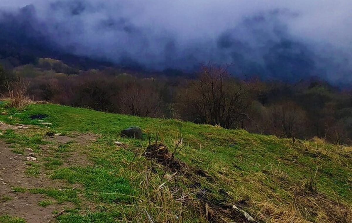 Discover Telavi: Tsinandali, Alaverdi & Gombori Tour