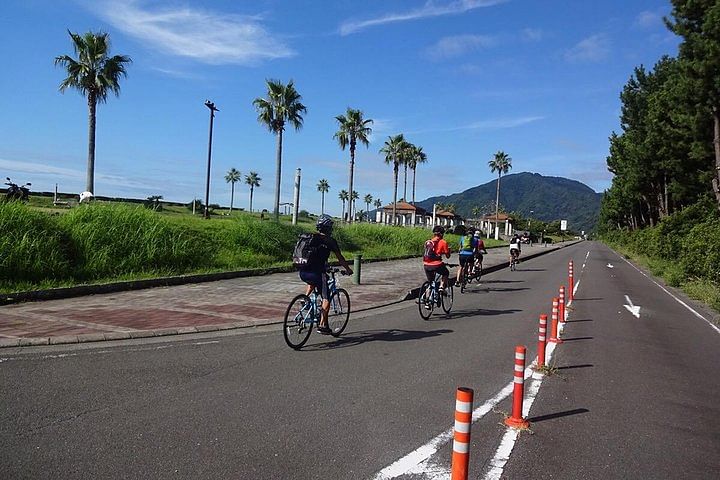 Guided Hybrid Bike Tour in Shizuoka City (Note: not e-bikes)