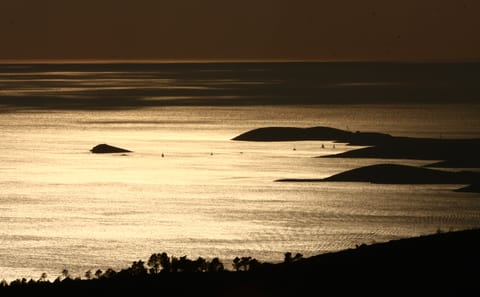 Private Boat Cruise to Vis and Biševo Islands from Hvar