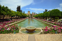 Guided Tour to the Alcazar of the Christian Monarchs 1