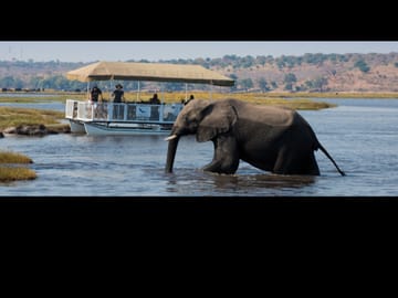 Chobe Big Five Day Safari from Victoria Falls: Game Drive & River Cruise
