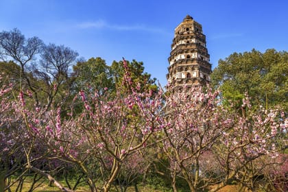 Suzhou: Huqiu Adult Tickets