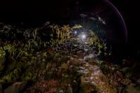The Lava Falls Adventure tour 2
