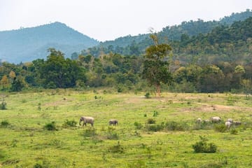 Private Day Trip to Kui Buri from Hua Hin