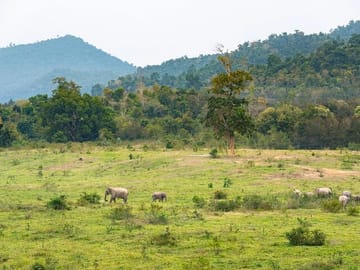 Private Wildlife Day Trip to Kui Buri from Hua Hin