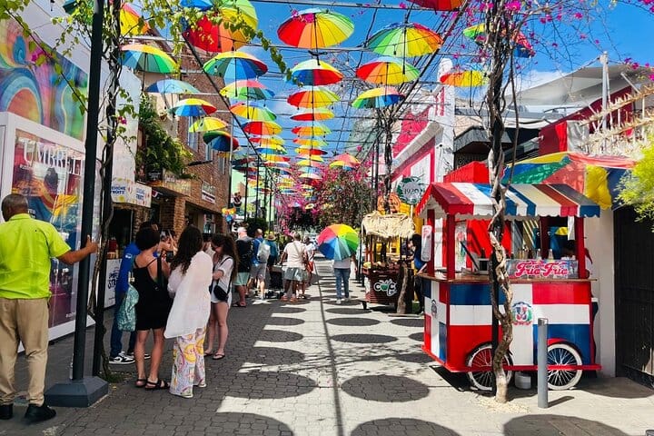 Family ATV Tour & Monkey Private Van