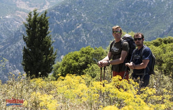 Ancient Footpath Delphi Hiking