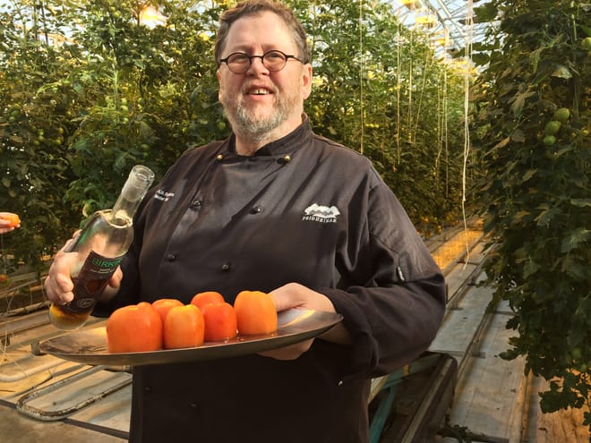 Tasting fresh tomatoes at Friðheimar greenhouse