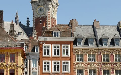 Private Historic Walking Tour of Lille's Architectural Highlights