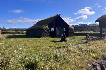Private Reykjavik City Tour: Landmarks and Árbær Museum