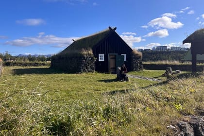 Reykjavik City Private Tour: Perlan, Arbaer & City Landmarks