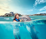 Dolphin Royal Swim at Dolphin Discovery Grand Cayman 9