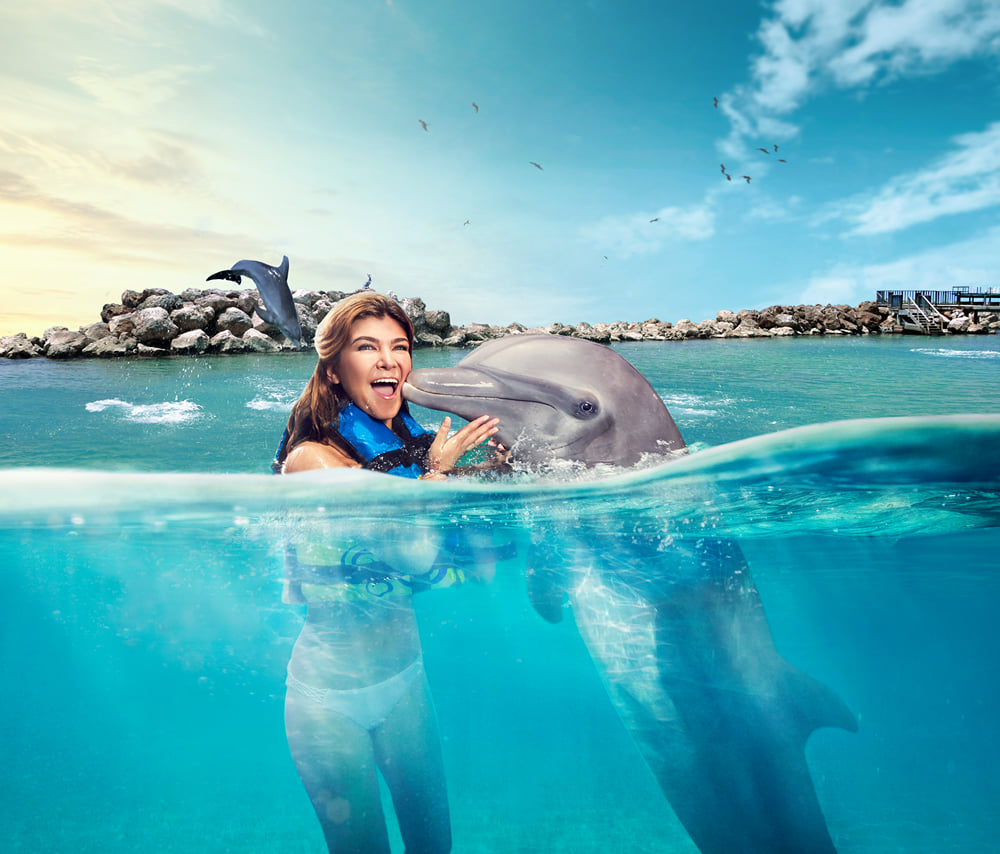 Dolphin Royal Swim at Dolphin Discovery Grand Cayman 9
