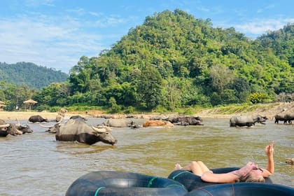 Chiang Mai Full-Day Adventure: Trekking, River Tubing & Elephant Feeding