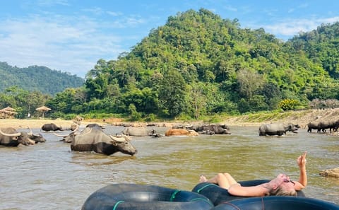 Full-Day Adventure Tour: Trekking and River Tubing in Chiang Mai
