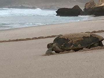 7-Day Cultural and Adventure Tour in Oman