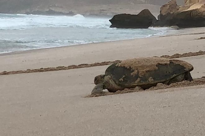 Tour Raqia 7 Days-6 Nights, Oman Tours Package 6