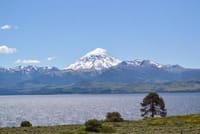 Lake Huechulafquen and Lanin Volcano Day Trip