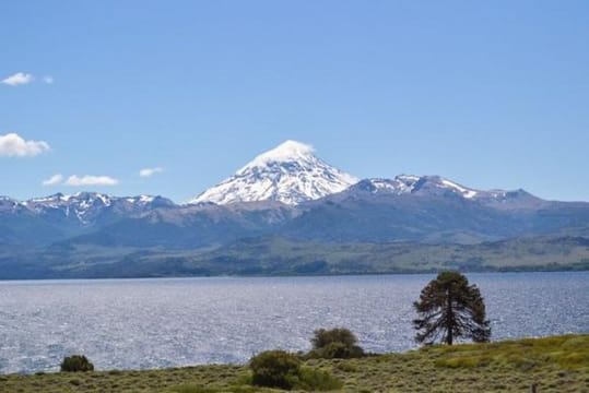 Lake Huechulafquen and Lanin Volcano Day Trip