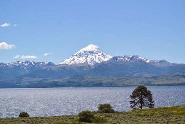 Lake Huechulafquen and Lanin Volcano Day Trip