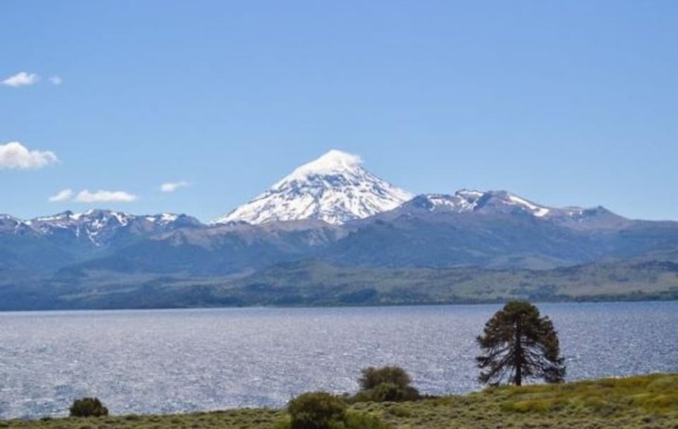 Lake Huechulafquen and Lanin Volcano Day Trip