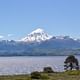 Lake Huechulafquen and Lanin Volcano Day Trip